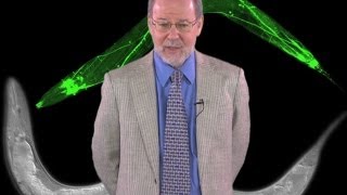 H. Robert Horvitz (MIT/HHMI): Discovering Programmed Cell Death
