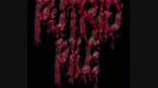 Putrid Pile - Rip Her To Shreds