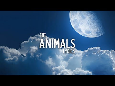 Download animal maroon 5 lyrics mp3 free and mp4 Download animal maroon 5 lyrics mp3 free and mp4