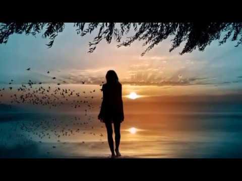 Tola Foi Você  - Ângela Rô Rô