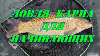 Снасть на карпа поплавочная удочка