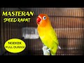 MASTERAN LB NGEKEK PANJANG SPEED RAPAT