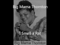 Willie Mae "Big Mama" Thornton-I Smell a Rat