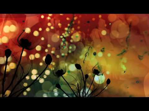 Sirene Videoclip (Paul Schulleri/Zen-Baboon Rmx)