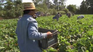 Michigan Farm Family Delivers Fresh Produce - America&#39;s Heartland