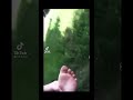 I Ve Been Stung By A Wasp Viral Edit Best Meme Memes