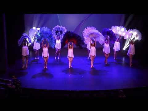 Dream A Little Dream, Beginner Feather Fans