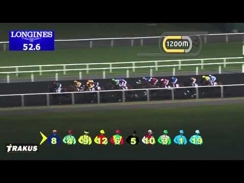 20.02.2014 Meydan (Dubai-UAE) 4.Race District One Phase I - Handicap  2.000 m