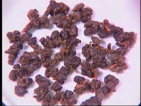 So fresh farmer market - Purchasing assistant – Organic Farmer Market of Water Park