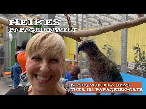 Neues von Kea Dame Thea im Papageien-Cafe