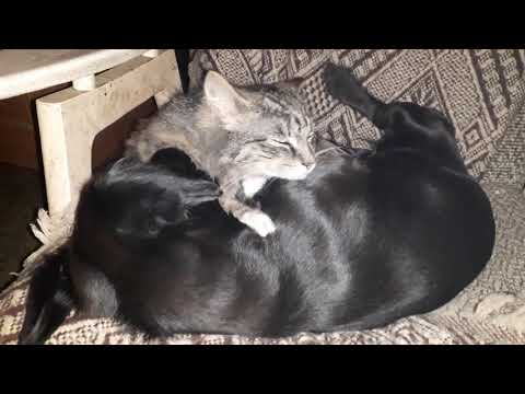 2019-04-11 Janis a Louis