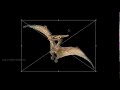 T Rectadactyl