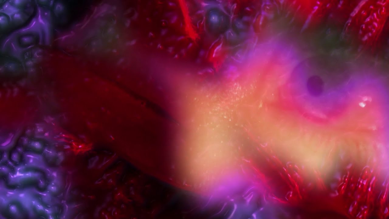 Xyla - Cold feat. Oso Feo (official video)