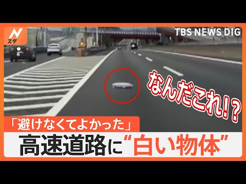 クレルモンフェラン路面電車 (トランスローア技術) のデザインはナンシーやカーンの TVR とは根本的に異なります