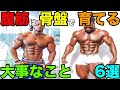 腹筋を育てるための基本的な骨盤の使い方と6つのヒント【筋トレ】