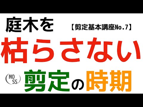  11月に剪定できる木は何ですか?なぜ、どのようにして？実践的なヒントは次のとおりです  庭園