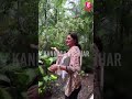 Rachitha Ram In Rain