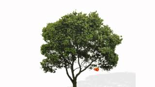 Pablo Sciuto - Memorias de Montevideo