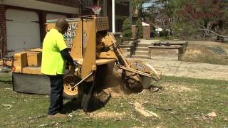 Big Timber Tree Service llc