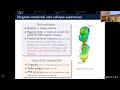 Day 1 Matteo Bugli The MHD CCSN Code Comparison Project