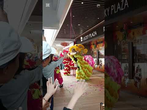 2026沙田好運中心新春醒獅表演 # 姜氏金龍醒獅團 (Lucky Plaza Chinese New Year lion dance, Sha Tin, Hong Kong)