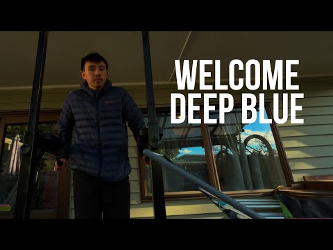 Deep Blue Is Ready For Action | Earth Log 2025.8247