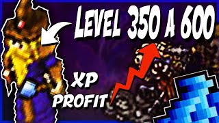 TIBIA - 7 HUNTS PARA MAGES ENTRE O LEVEL 350 E 600