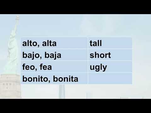 Aumenta tu vocabulario en inglés en segundos, descripciones alto, bajo, feo, bonito