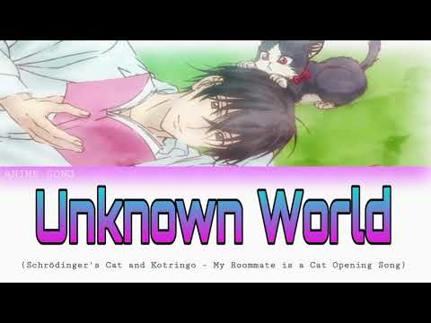 My Roommate is a Cat OP | Unknown World | Schrodinger's Cat and Kotringo