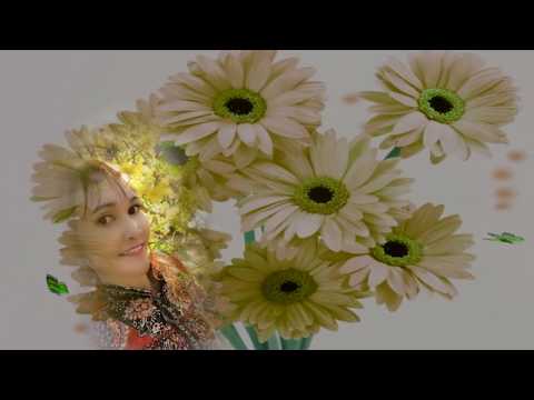 Xuân của riêng anh - Clara Ngô