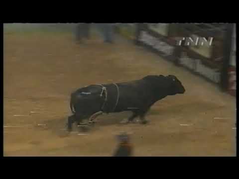 King Kong bucks Toby Turner - 99 PBR Finals