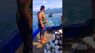 Download lagu Story WA KM.MURTI H Kapal slerek nelayan prigi mp3