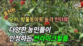 오이 병충해 방제 토마토 병충해 방제 하우스 멀칭비닐 썬라이크필름