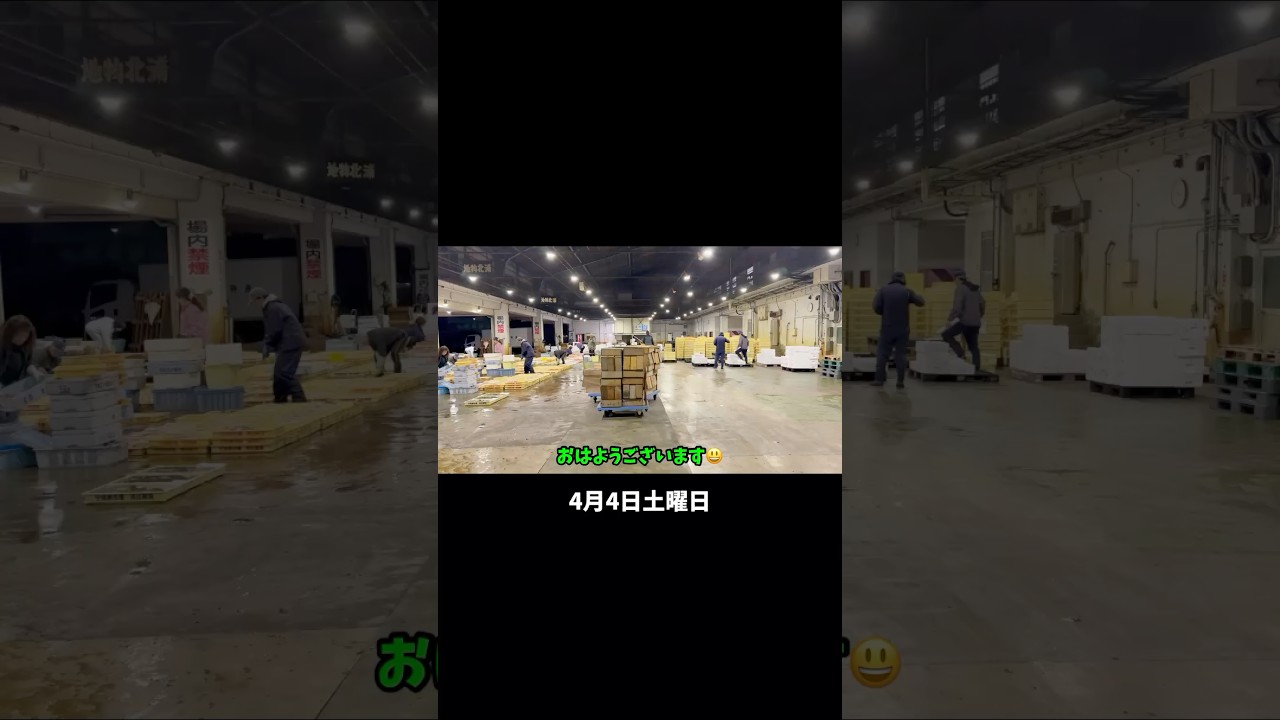 今朝の魚市場4月4日土曜日の水揚げ速報#shorts