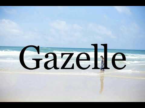 How To Pronounce Gazelle🌈🌈🌈🌈🌈🌈Pronunciation Of Gazelle