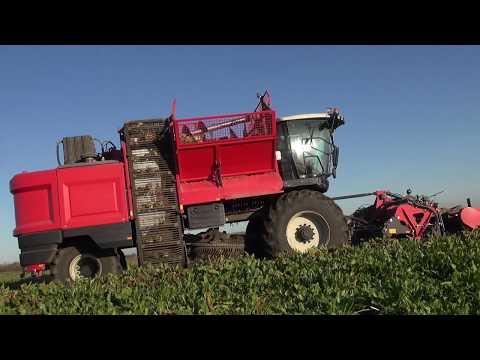 LightTraxx ***official video 2020***