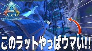 ポンコツソロレイダーがゆく!!#7「ネタ被り？ウマけりゃそんなの関係ねぇ！レイドだコラああ」【ark asa pvp】