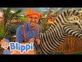 Blippi Visits Party Jungle Learn About Animals For Kids Educational Videos For Kids
