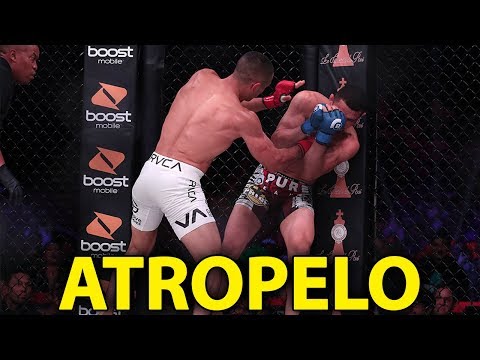RESULTADO LUTA AARON PICO VS LEANDRO HIGO - BELLATOR 206