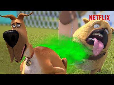 Thumbnail of the video: Marmaduke Blows Up The Dog Show! 💨 | Netflix