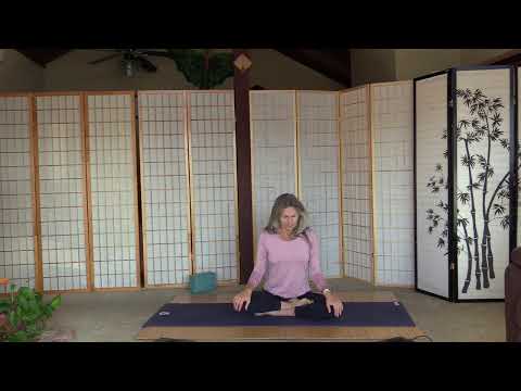 November 10, 2021 Live Yoga with Susie Denes