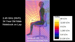 A Wi-Fi Laptop on the Lap: Scientific Imaging of Microwave Radiation From A Laptop Into Body Tissues