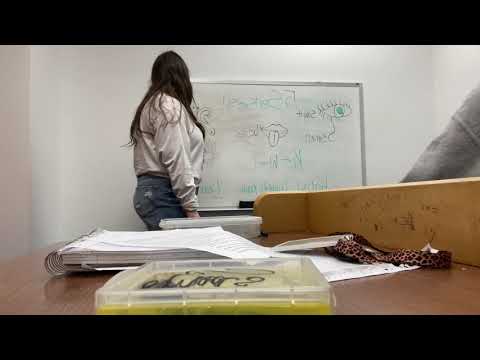 teaching the 5 senses ELL