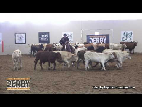 Blind Sided ridden by Jay McLaughlin  - 2017 NRCHA Derby (Herd Work, Open Bridle Spec.) Score: 225