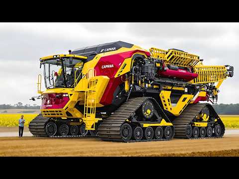 SCOPRI LE MIETITREBBIE PIÙ GRANDI E COSTOSE AL MONDO!