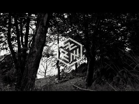 Video del músico Mientras las abejas duermen