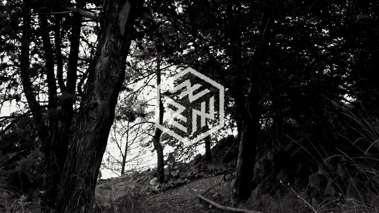 Mientras las abejas duermen - El camino silencioso (Vídeo oficial)