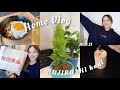 素すぎるHome Vlog 最近の癒しとお昼ご飯 無印購入品 そしてティータイム ️