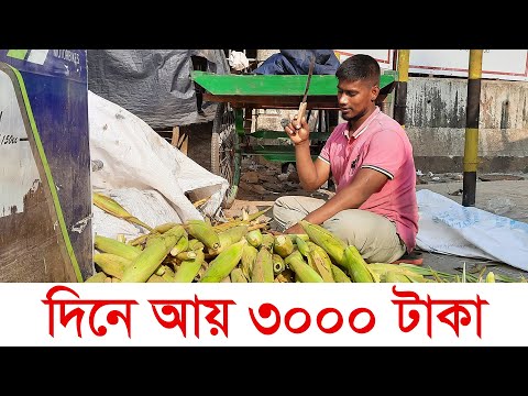 দিনে আয় ৩০০০ টাকা