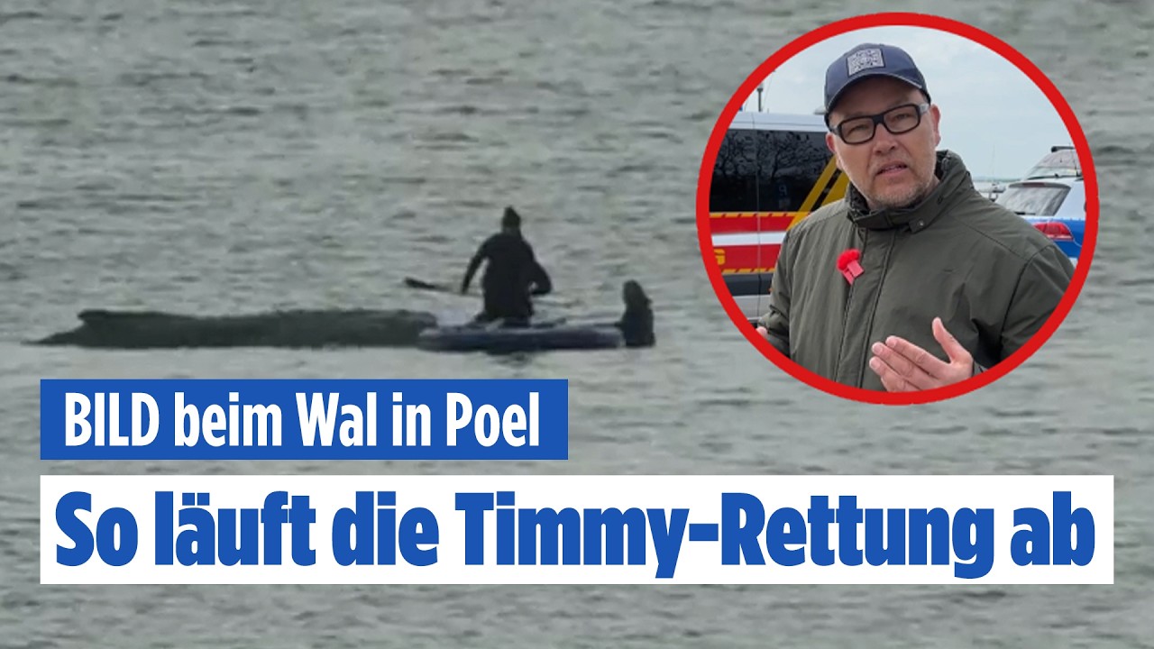 VOR ORT BEIM BUCKELWAL: So läuft die Timmy-Rettung ab